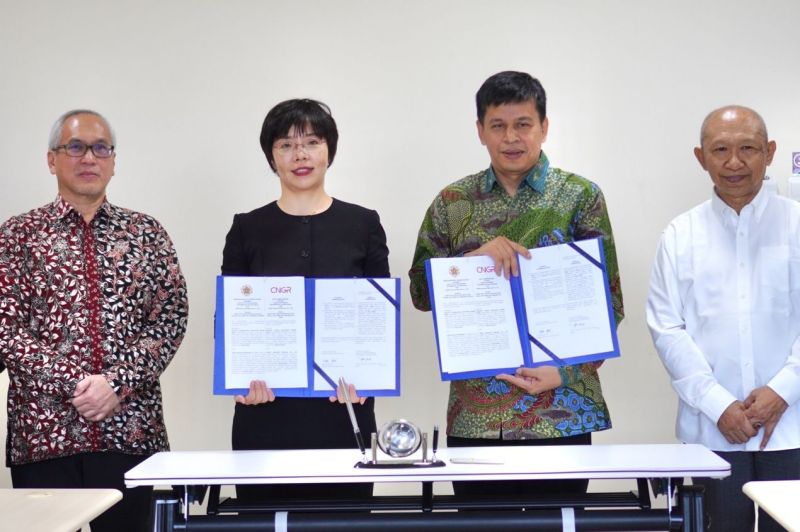 ���˹��ʴ���-welcome��ҳ