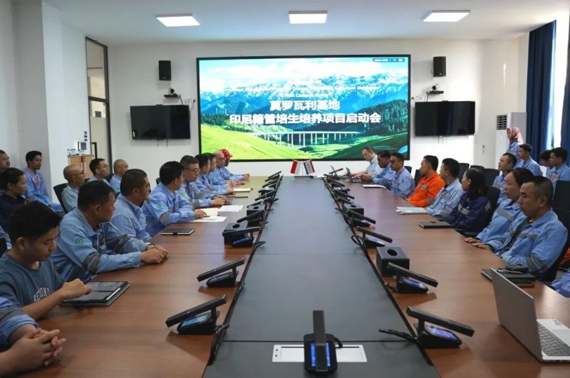 ���˹��ʴ���-welcome��ҳ