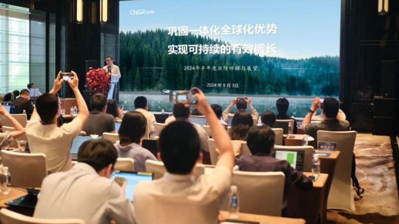 ���˹��ʴ����ɷݽ���Ͷ���߻����� �۽��ɳ�������Ч����