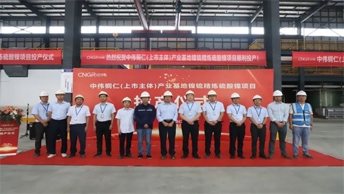 ���˹��ʴ���ͭ�ʲ�ҵ���ؽ�����ﳾ�����������ĿͶ������