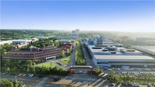 ?�ԡ����Ļ�������׳�����ʳ����������˹��ʴ����ɷ���������������