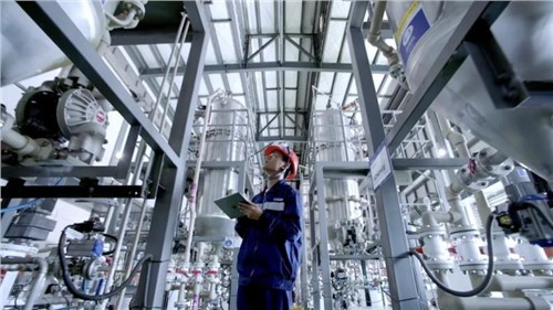 ȫ�������£��Ļ����� ���ָ��� ȫ��չ ����˹��ʴ��������ʡ�����