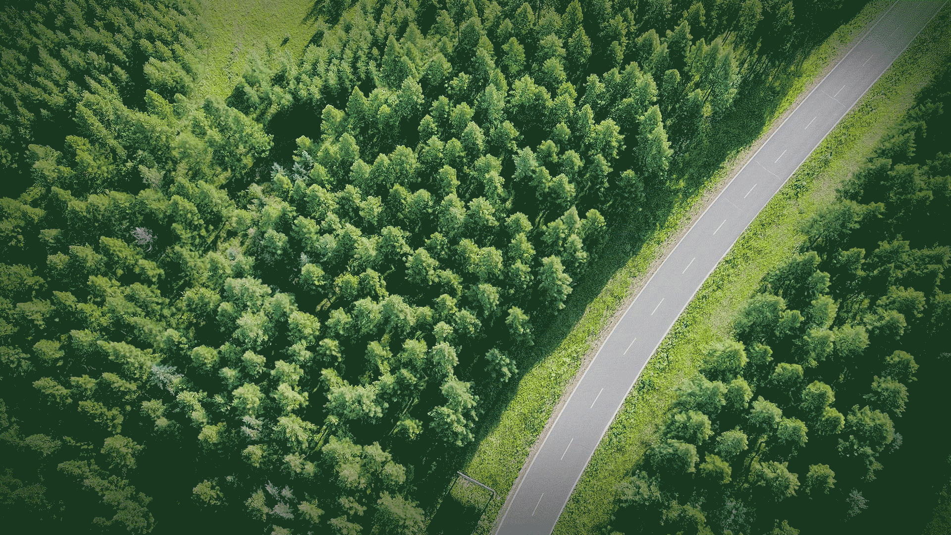 6d67ab95-3b30-48d0-b2b4-4cb578eb755a