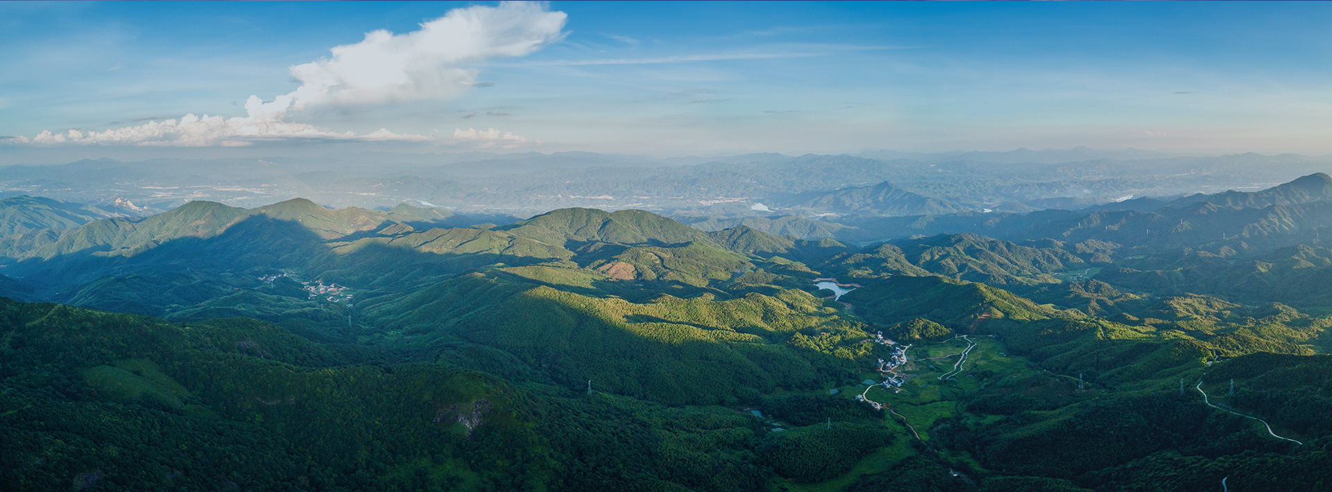 cf8029d4-04ec-4ad8-a0e7-589af4a71977