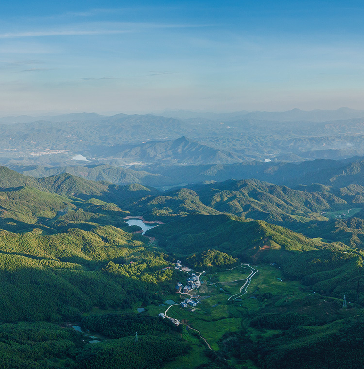 dd4a407c-d1e5-459f-aff4-767584f602b9